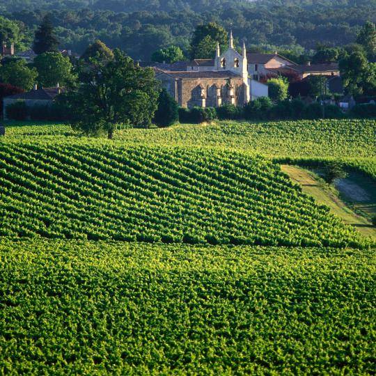 Visiter Les Vignobles Bordelais Hôtel Les Criquets